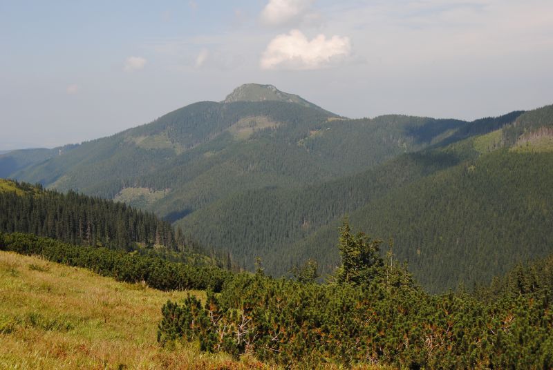 pepajs.cz